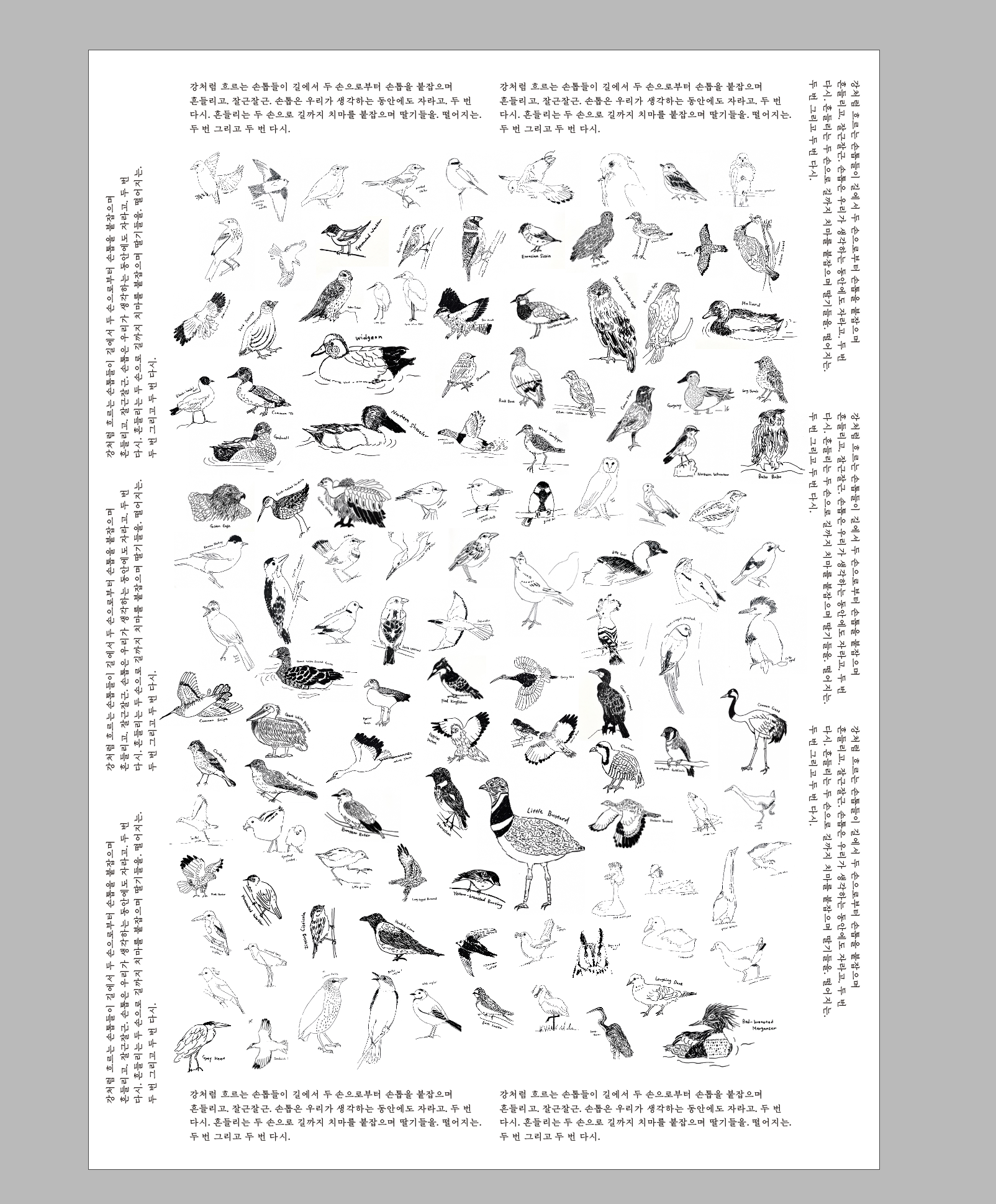 122 Birds of Palestine